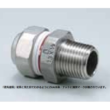 Zlok IXA_v^[ ZLMSSR XeXzǗpJjJp (CҊǤp)