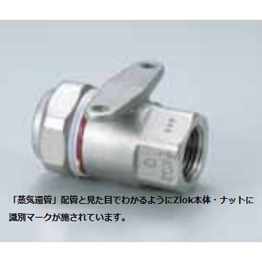 Zlok t\Pbg ZLTRSSR XeXzǗpJjJp (CҊǤp)