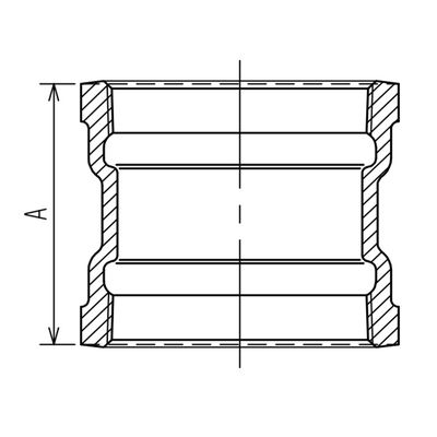 DS-R[g \Pbg R[g hlWp