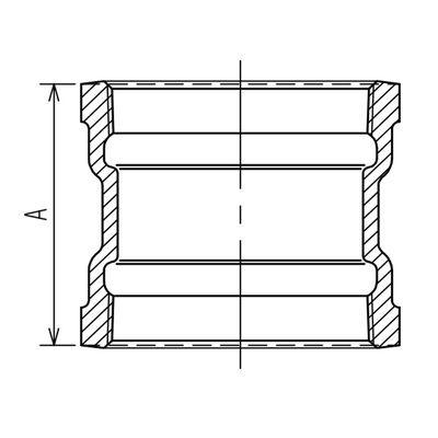 DS-R[g \Pbg R[g hlWp