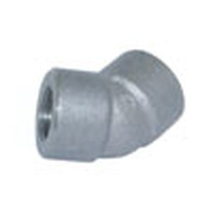 tWgN NPT 45E  NPTp  45°G{ SUS304 S/80