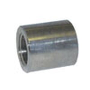 tWgN NPT CA  NPTp  Lbv SUS304 S/80