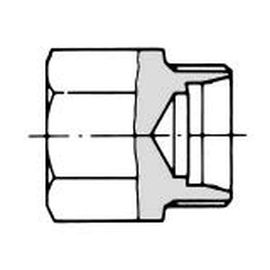 �C�n�� NE�|�ǃN�C�R�~ PJA21-000N ���t���� 1/2(21.7��)�p