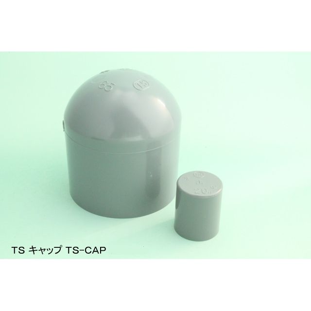 TS-CAP Lbv TSp