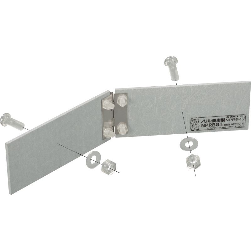 NPRBG1 �������݌p����