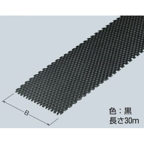 NSM �l�g�����V�[�g