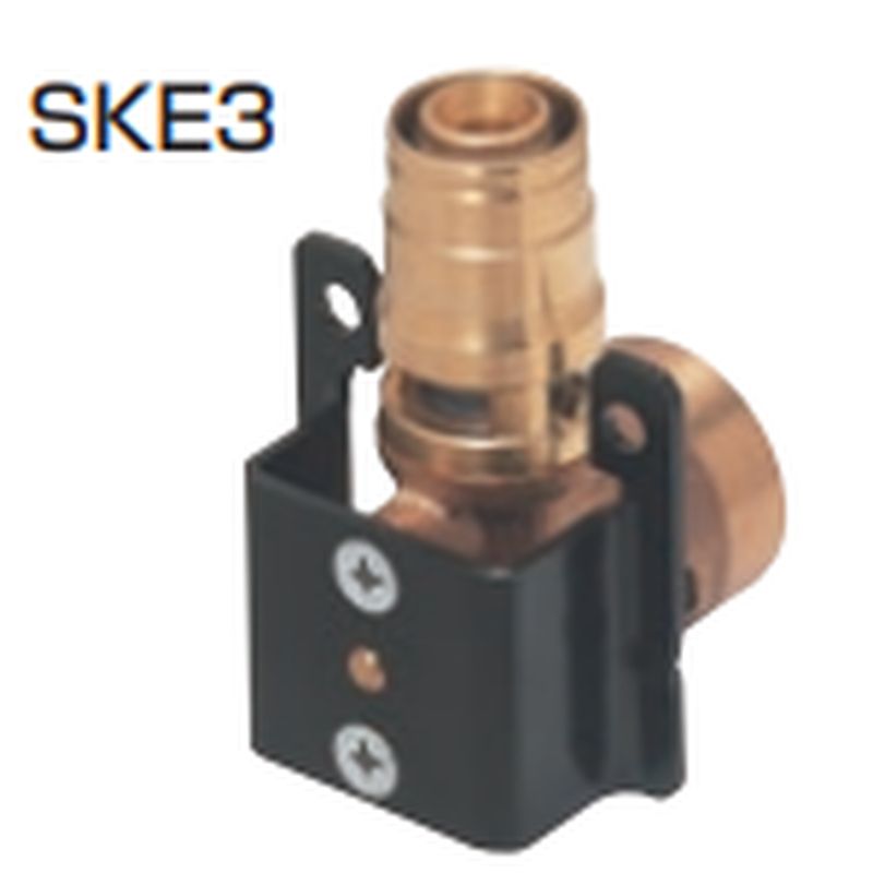 SKE tG{(RMKWNp)