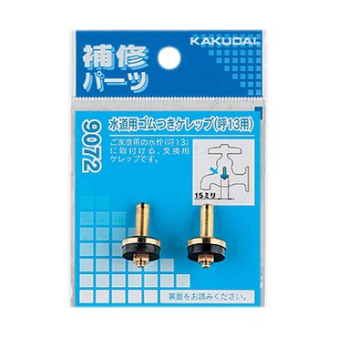 JN_C 9072 pSPbv(2)