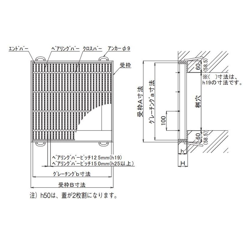 ɓSH AGBCN30-19 |O[`O זڐ` mXbv T2