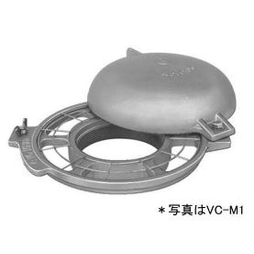 J VC-M1N ʋCyhԕtSIolWJJo[