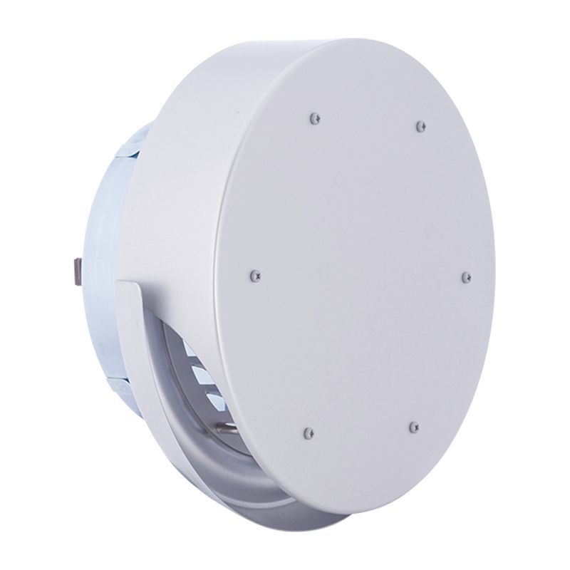 SXUD-M OǗpA~C ^tbgt[h ؂t K^ h΃_p[t 5M