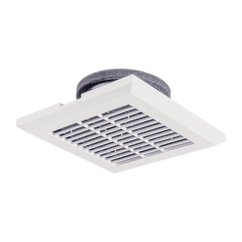AT-QK3 pC rCO p` ʒߕt /V/t^Cv lbgtB^[t