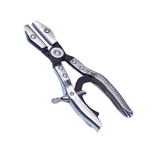 �s���`�I�t�v���C���[