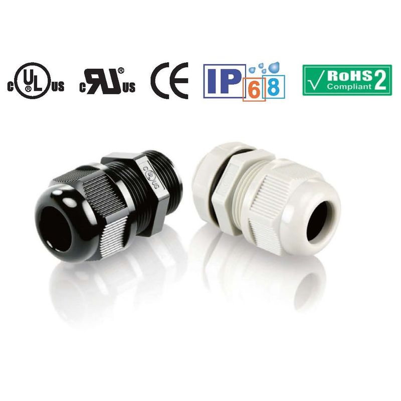 210-2010 G�l�W�P�[�u���O�����h(A�^) ���F �Z���^