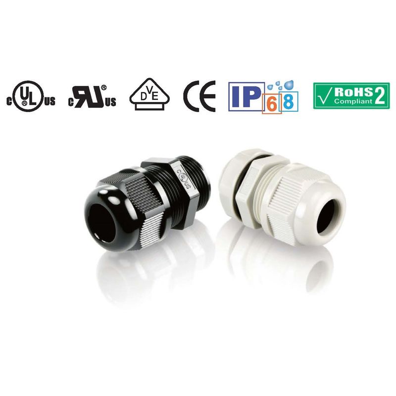 210-2010 M�l�W�P�[�u���O�����h(A�^/�Z��) ���F �Z���^