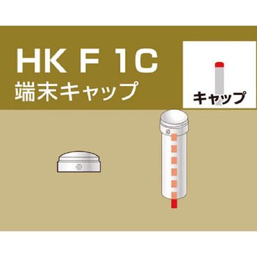 ACR HKF1C PǗppCvWCg [Lbv