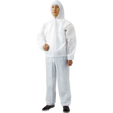 gXR TPCZM  sDzĝĕی앞Y{ MTCY