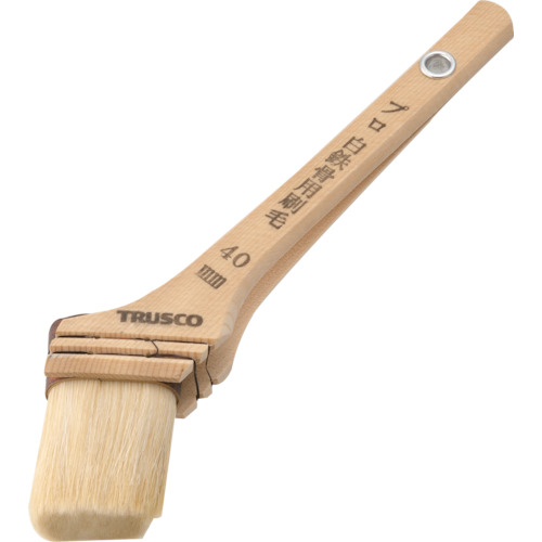 TPB-11�� �v�����S���p����