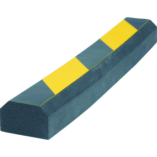 TSC �Z�[�t�e�B�N�b�V���� �R�^