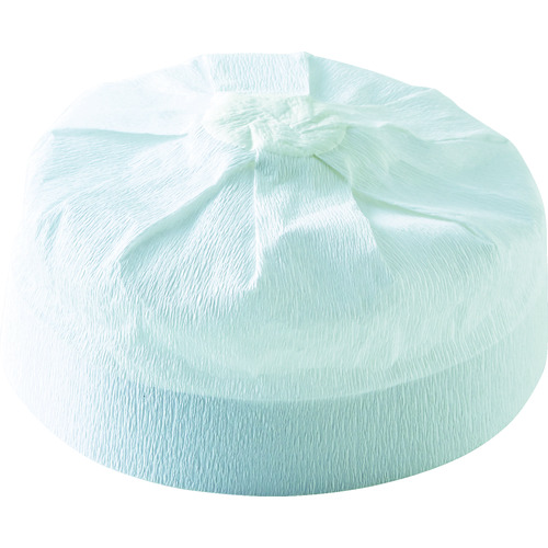 TRUSCO �w�����b�g�p�ی^���X�q  (120����)