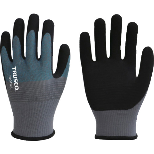RBG18 �V�R�S���w������� �ɔ��� 18�Q�[�W
