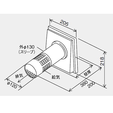 p[pX TP-T12-2 rCgbv