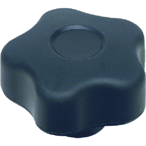 �C�}�I�R�[�|���[�V���� STK66SOFT �X�^�[�m�u�\�t�g [ELESA]