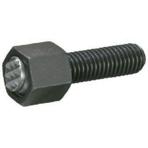 C}IR[|[V BUH-08012-S {[jbg({g^Cv) [Fairlane]