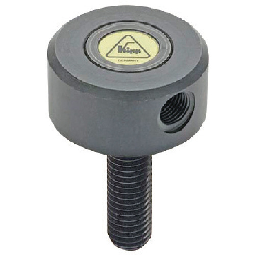 C}I FTN10X30 tbgeVo[(o[Ȃ) [kipp]