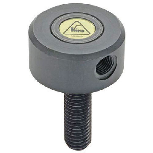 C}I FTN12X30 tbgeVo[(o[Ȃ) [kipp]