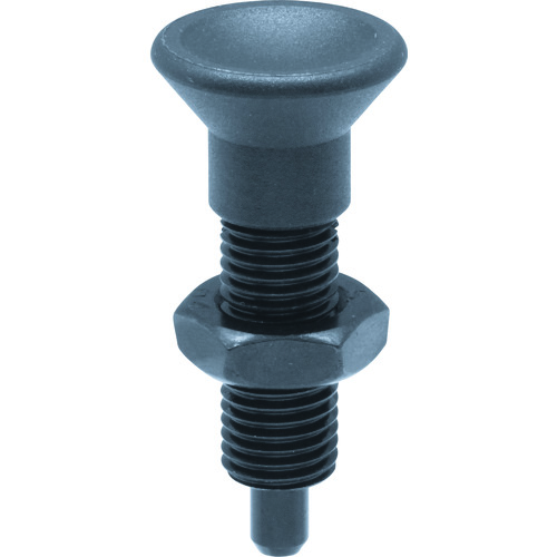 C}I SDXNE10W CfbNXvW[(OXg[N) [kipp]