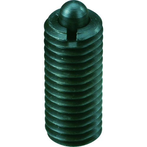 C}I PL24 XvOvW[(d׏dpX`[s)M24 [kipp]