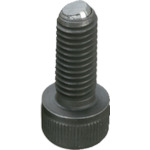C}IR[|[V BCF12X80 {[LbuXN[ (^Cv)
