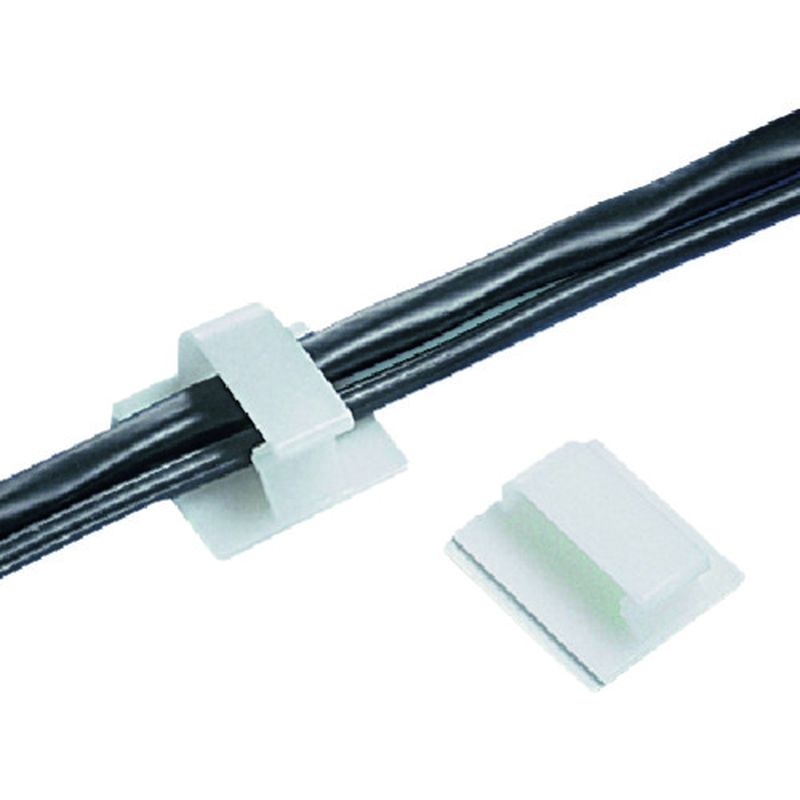 phEBbg BEC62-A-T  R[hNbv SnSe[vt i`