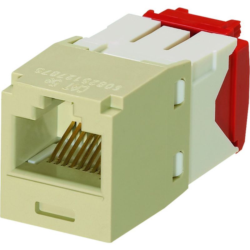phEBbg CJ5E88TGEI JeS5E RJ45W[WbN UTP TG^Cv AC{[