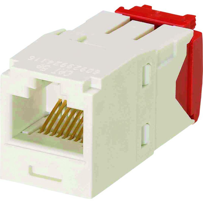 phEBbg CJ5E88TGIW JeS5E RJ45W[WbN UTP TG^Cv ItzCg