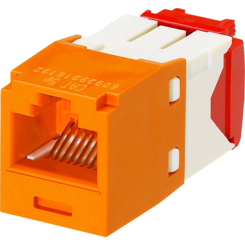 phEBbg CJ5E88TGOR JeS5E RJ45W[WbN UTP TG^Cv IW