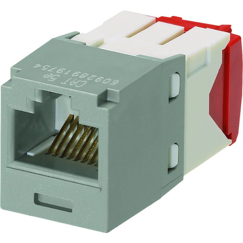 phEBbg CJ5E88TGIG JeS5E RJ45W[WbN UTP TG^Cv CgO[