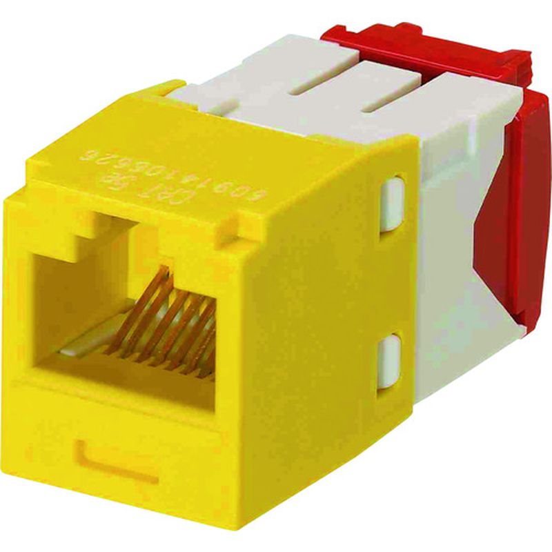 phEBbg CJ5E88TGYL JeS5E RJ45W[WbN UTP TG^Cv 