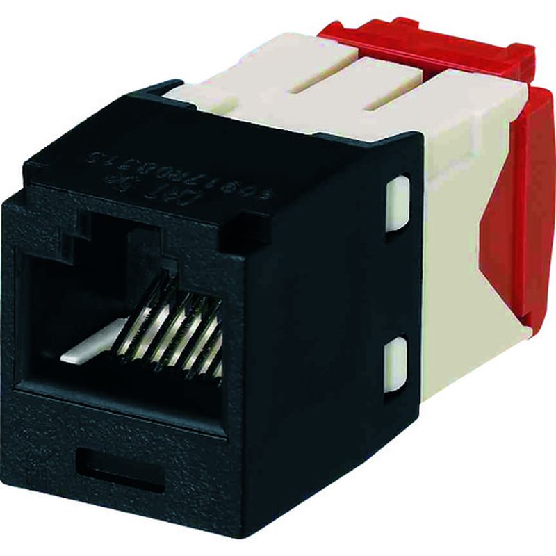 phEBbg CJ5E88TGBL JeS5E RJ45W[WbN UTP TG^Cv 