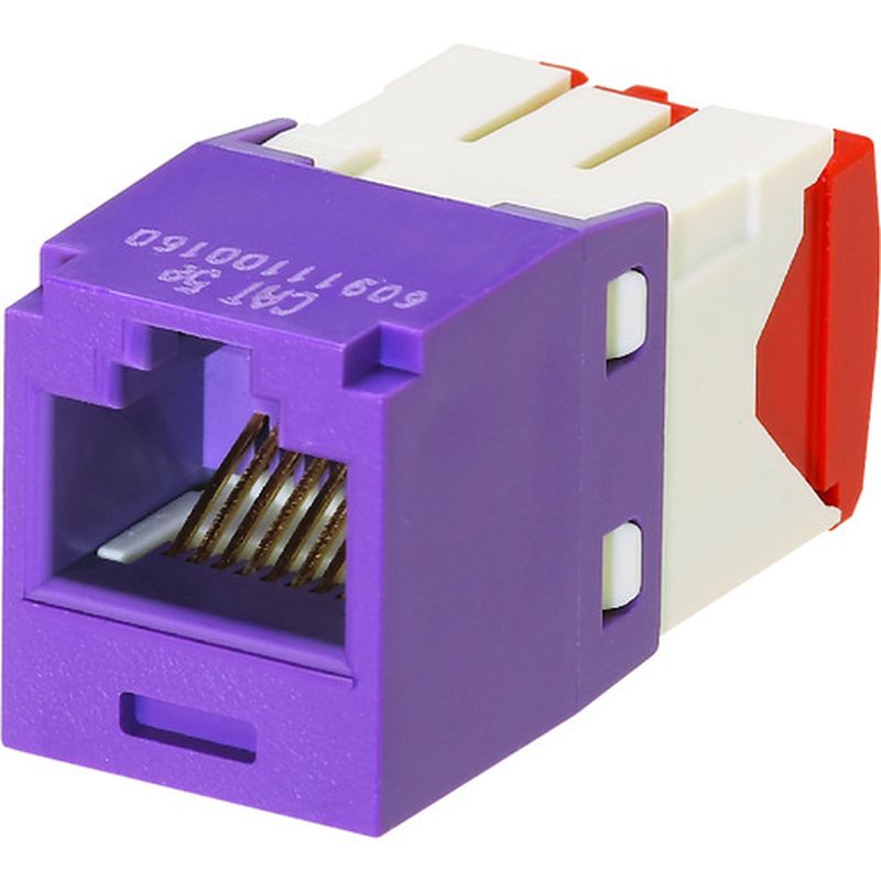 phEBbg CJ5E88TGVL JeS5E RJ45W[WbN UTP TG^Cv 