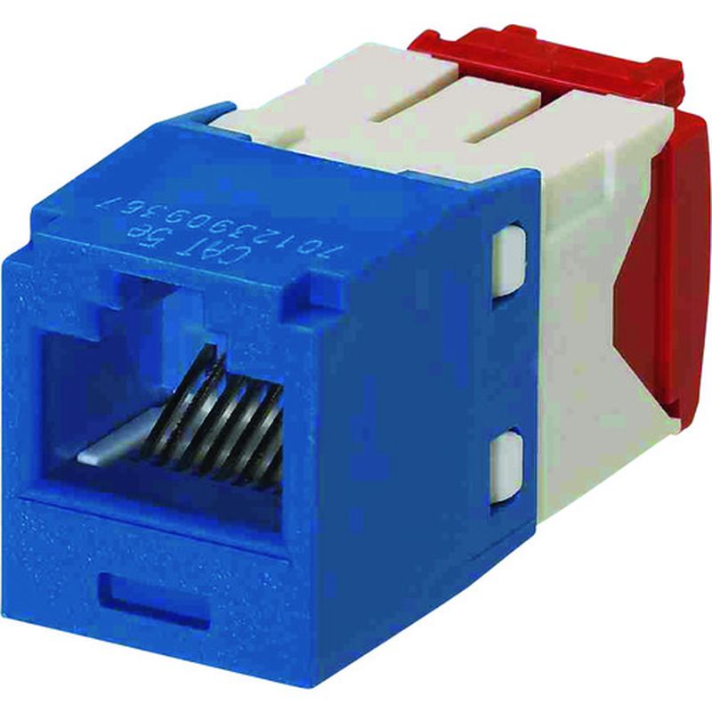phEBbg CJ5E88TGBU JeS5E RJ45W[WbN UTP TG^Cv 