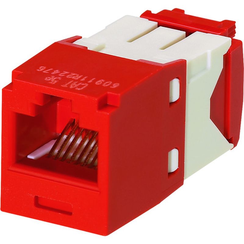 phEBbg CJ5E88TGRD JeS5E RJ45W[WbN UTP TG^Cv 