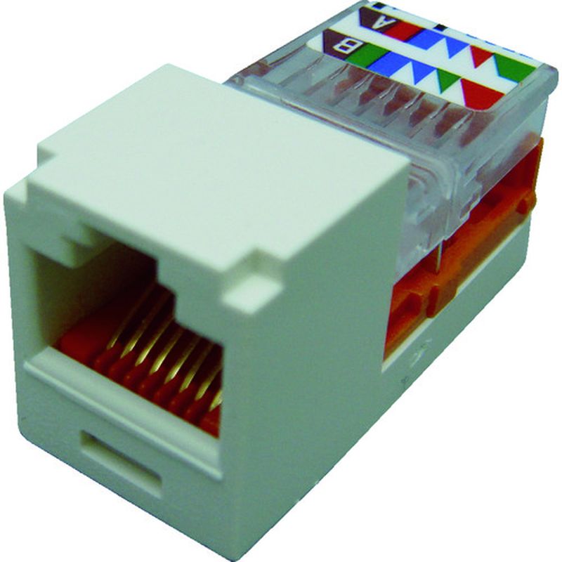 phEBbg CJ588IWY JeS5EW[WbN ItzCg