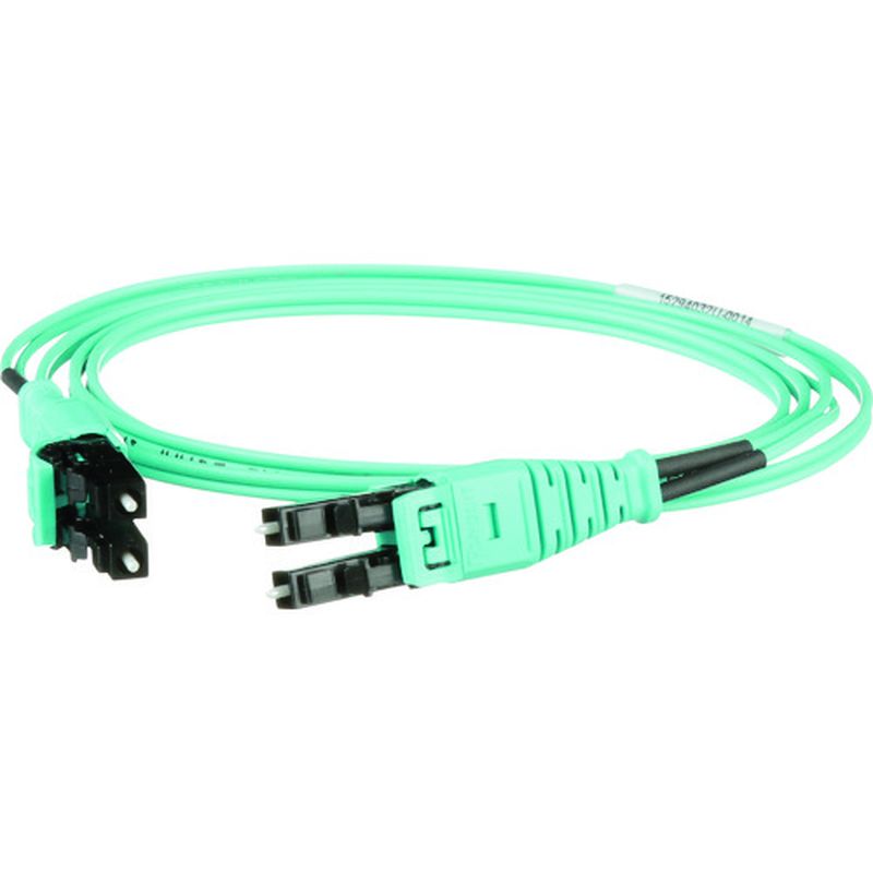 phEBbg FZ2ERQ1Q1SNM002 vbVuLCfvbNXt@Co[pb`R[h