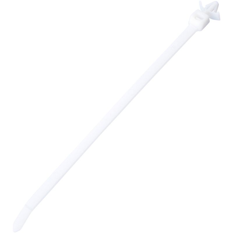 phEBbg PLWP3H-TL ݃^CviCoh i` 250{