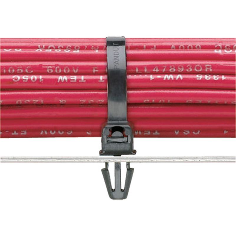 PLP Pan-Ty oh ݃^Cv ϔMiC6.6 ()