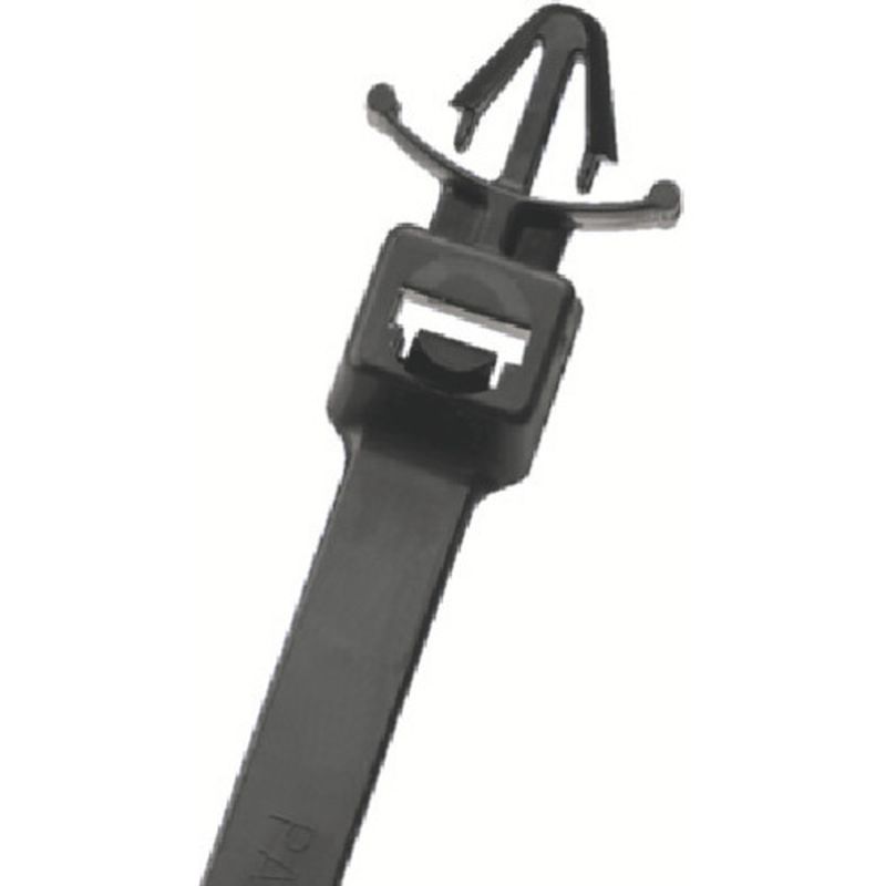 PLWP Pan-Ty oh ݃^Cv ϔMiC6.6 ()