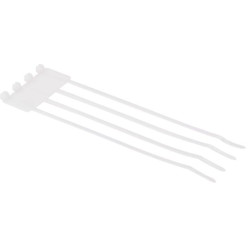 phEBbg B4M2S-TL ^^Cv XeX܃bNoh i` 250{