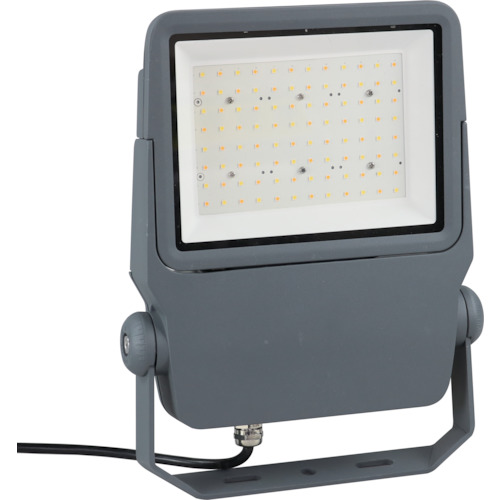 PDS-C01-40WL LED�v���W�F�N�V�������C�g(���Ɗ���U���^)